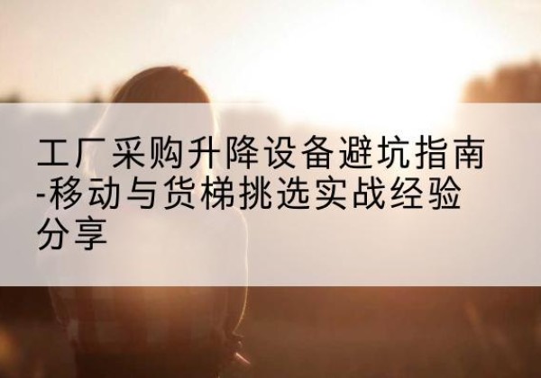 民丰移动式升降机怎么选-工厂采购升降设备避坑指南-移动与货梯挑选实战经验分享