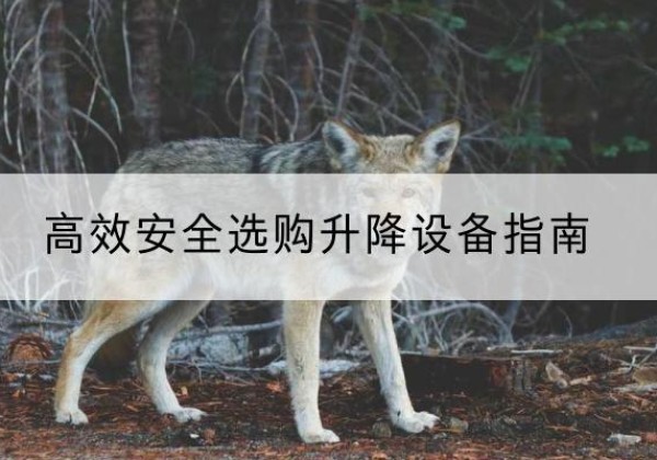 民丰升降货梯厂家推荐-*安全选购升降设备指南