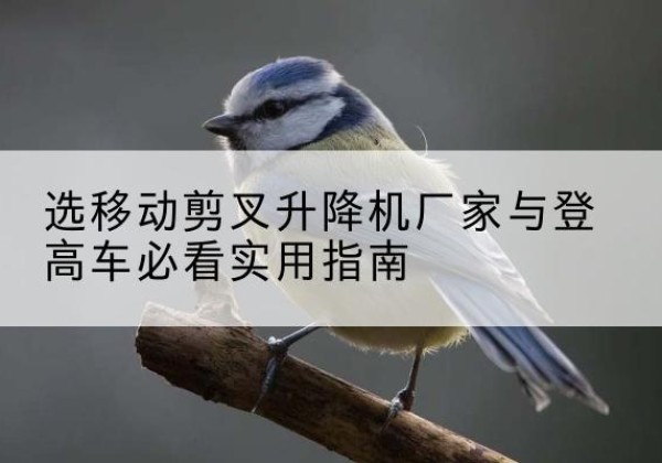 民丰电动升降机厂家-选移动剪叉升降机厂家与登高车必看实用指南