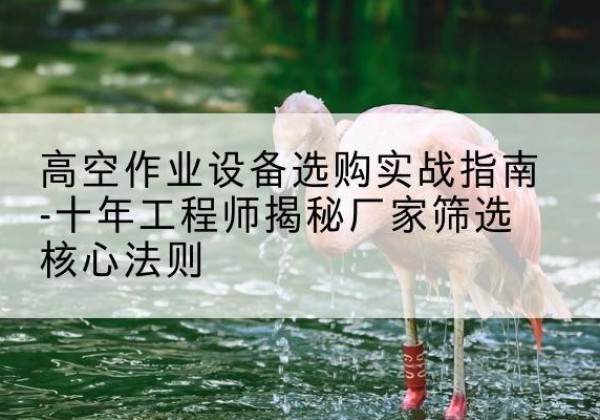 民丰剪叉式升降机厂家-高空作业设备选购实战指南-十年工程师揭秘厂家筛选核心法则